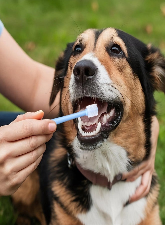 WJIAAA 3 Pack Small Dog Cat Toothbrush, 360 Degree Soft Silicone Pet Toothbrush Cat Dental Care Dog Oral Hygiene Deep Clean Pet Teeth Cleaning Kit - Image 4